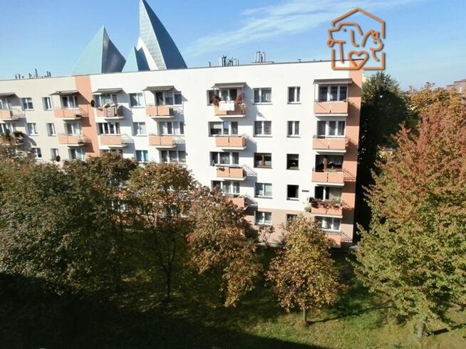 Kawalerka pet friendly blisko centrum-Katowicka 11