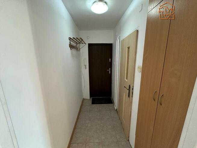 Kawalerka pet friendly blisko centrum-Katowicka 11