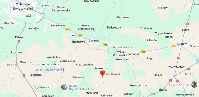 Działka z domem i zabudowaniami 5 km od Ćmielowa