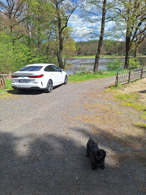 Domki nad Jeziorem , Złotnicki