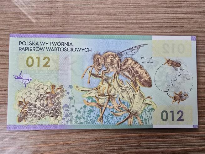 Banknot polimerowy Pszczoła miodna 012