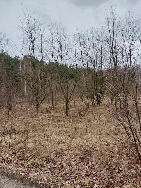 Sprzedam działkę Modzele Bartłomieje