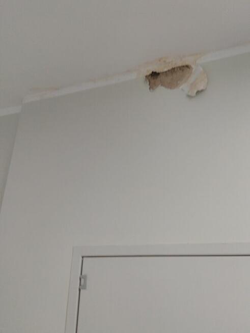 Remont po zalaniu mieszkania.Likwidacja zacieków i zagrzybie