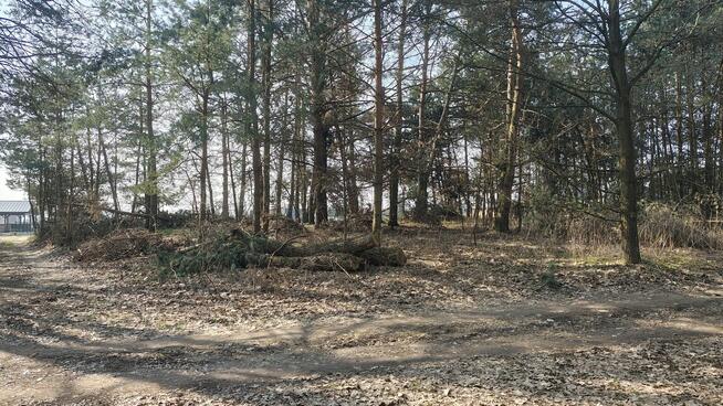 Malownicza działka w Pogórskiej Woli - 10 ar.