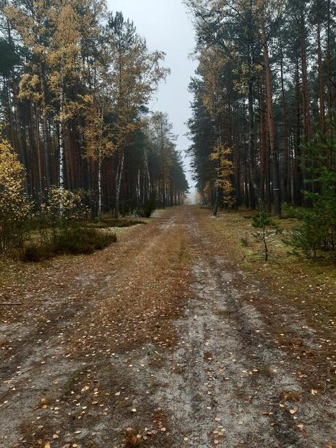 DOM ZE STAJNIĄ, URLE/Adampol, NA DZIAŁCE ZAGRODOWEJ