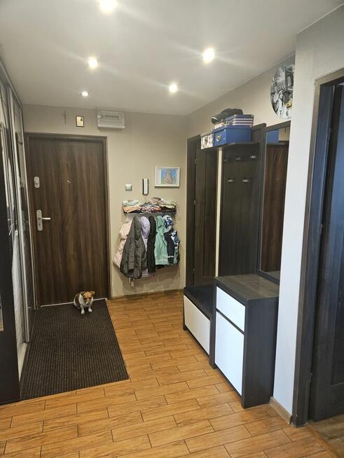 Mieszkanie 3 pok, 55 m2, 10 piętro, ul. Białowieska