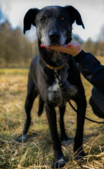 Przyjacielska pogodna dziewczynka czeka na wymarzony dom