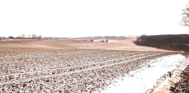 Twój pierwszy dom z ogrodem – Brzezie