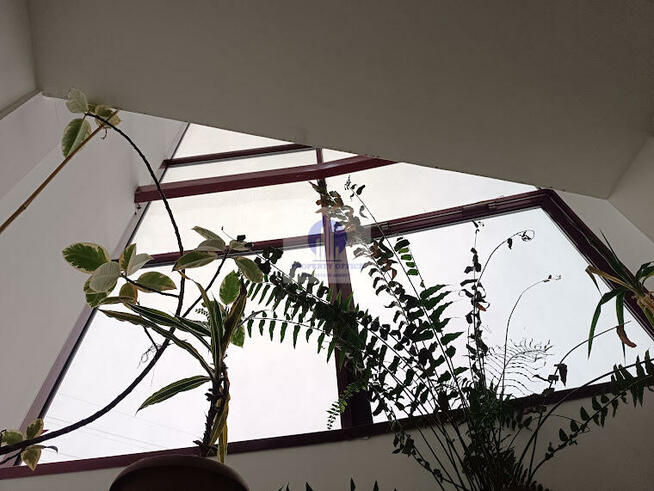 Lokal użytkowy Warszawa Mokotów, al. Wilanowska