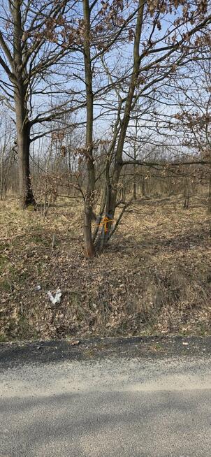 Działka budowlana Marcyporęba gm. Brzeźnica