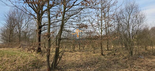 Działka budowlana Marcyporęba gm. Brzeźnica