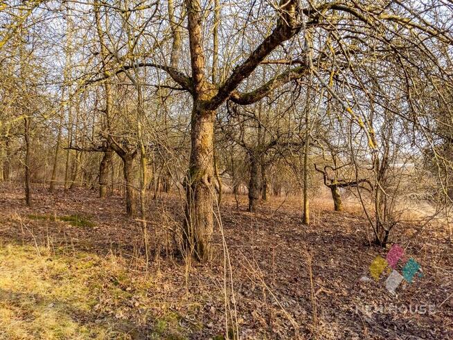 Działka inwestycyjna, S7, MPZP, media 7 352 m2