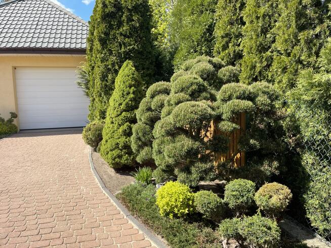 Przestronny dom w wysokim standardzie