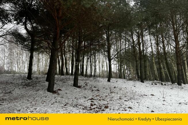 Służewo, działka ze stawem, częściowo zadrzewiona.