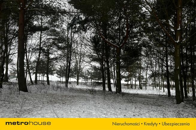 Służewo, działka ze stawem, częściowo zadrzewiona.