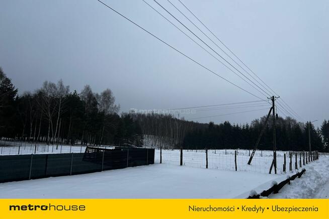 Służewo, działka ze stawem, częściowo zadrzewiona.