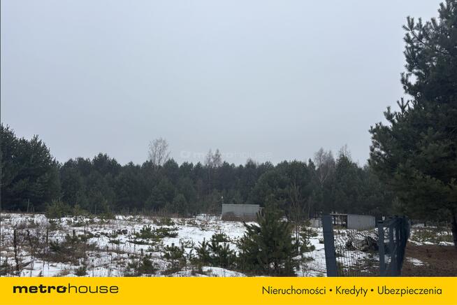 Działka Pradła, ul. Wyzwolenia