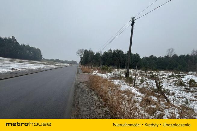 Działka Pradła, ul. Wyzwolenia