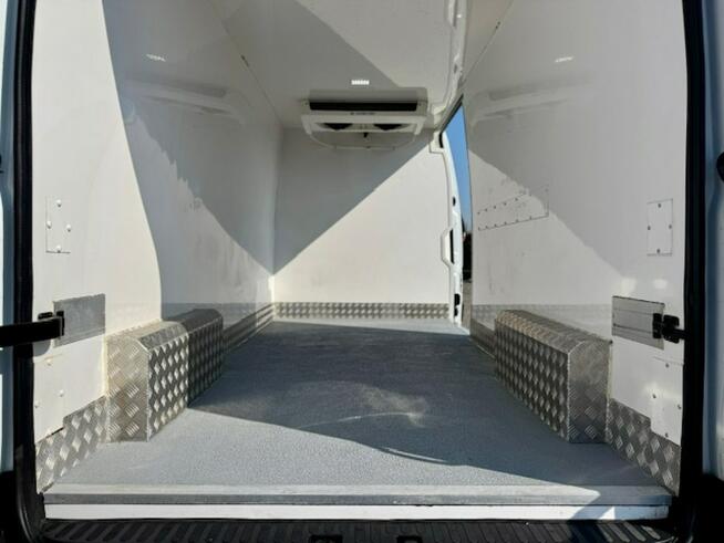 Renault Master SALON PL / THERMO KING CHŁODNIA - MROŻNIA -15st.C / 88 tys.km