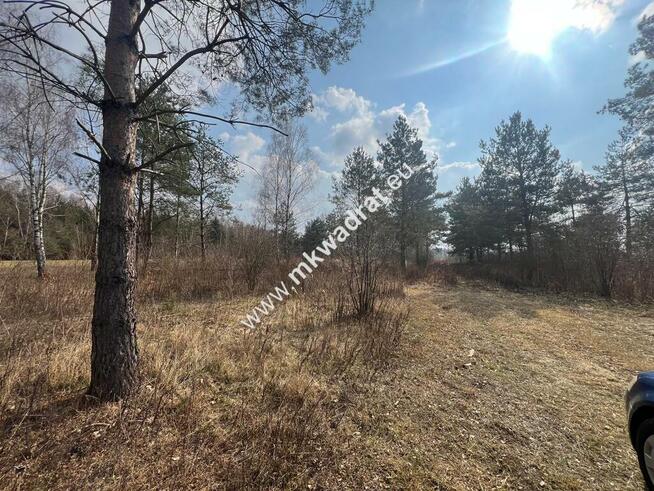 Piękna działka Tłumy gm.Mszczonów