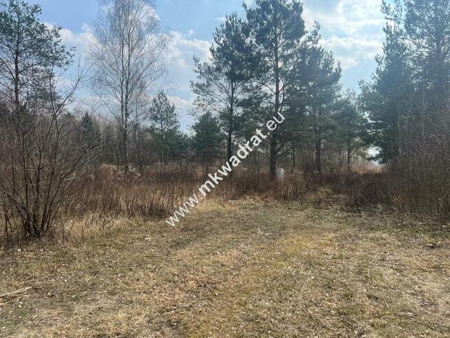 Piękna działka Tłumy gm.Mszczonów