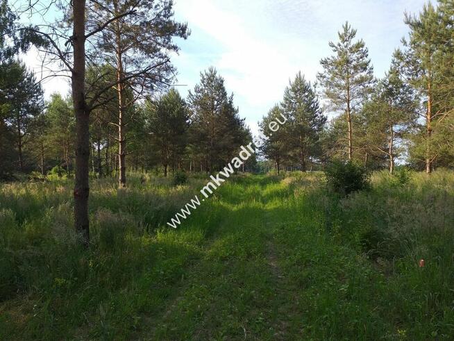 Piękna działka Tłumy gm.Mszczonów