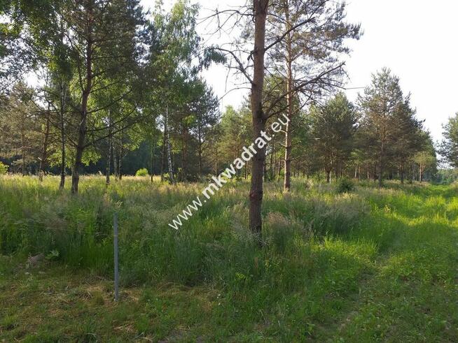 Piękna działka Tłumy gm.Mszczonów