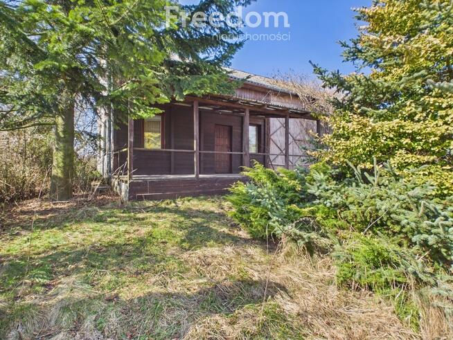 Działka 0,52 ha, gm.Borzechów