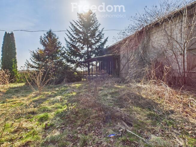 Działka 0,52 ha, gm.Borzechów