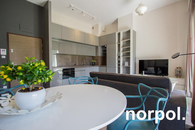 Nowoczesne mieszkanie z loggią i tarasem / Modern apartment with loggia