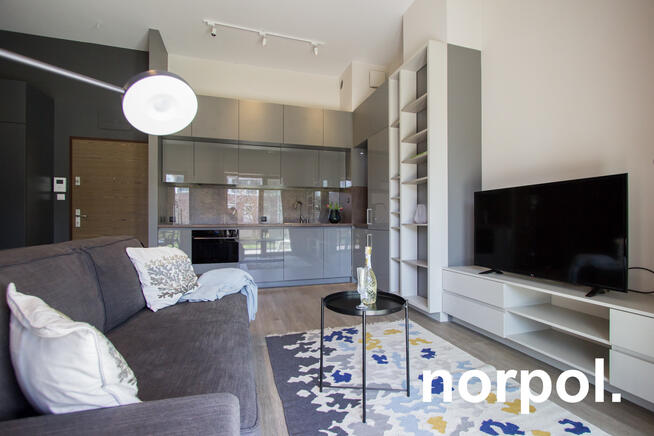 Nowoczesne mieszkanie z loggią i tarasem / Modern apartment with loggia