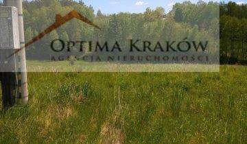 Działka rolno-budowlana Dąbie gm. Raciechowice