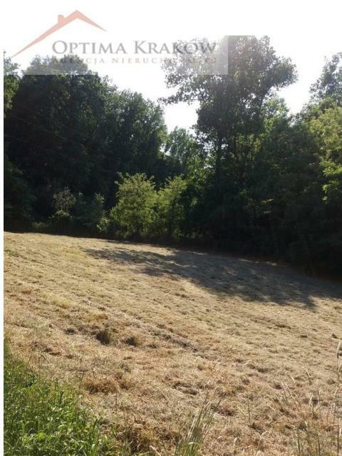 Działka rolna Kraków Bieżanów-Prokocim, Bieżanów, Stanisława Pronia