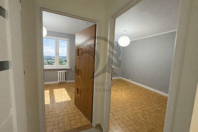 Nowy Dwór: 60 Mertrów Czystego Potencjału.