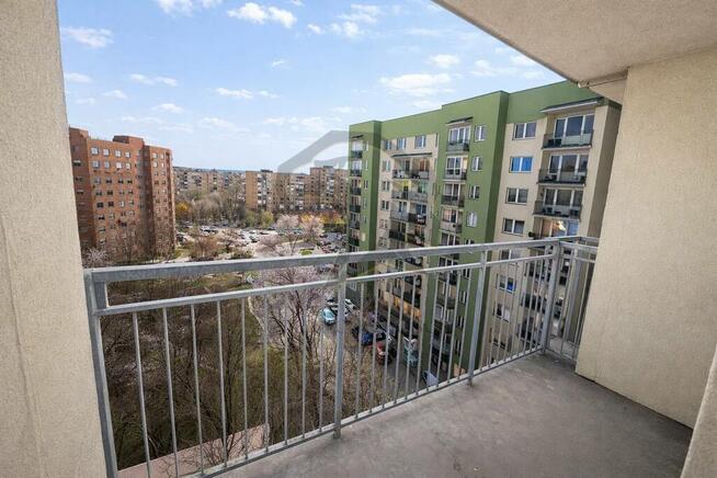 Nowy Dwór: 60 Mertrów Czystego Potencjału.