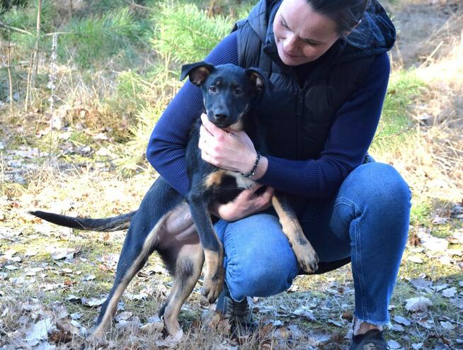 Cudna, kochana ok 4 mies sunia prosi o dom