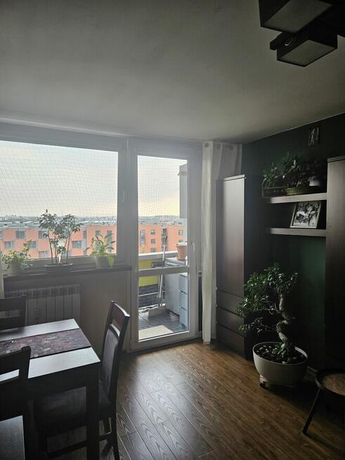 Mieszkanie 3 pok, 55 m2, 10 piętro, ul. Białowieska