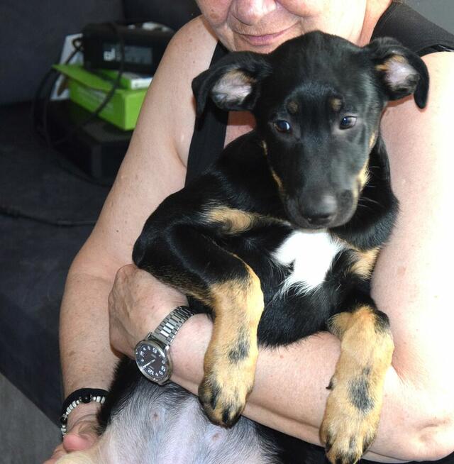 Cudna, kochana ok 4 mies sunia prosi o dom