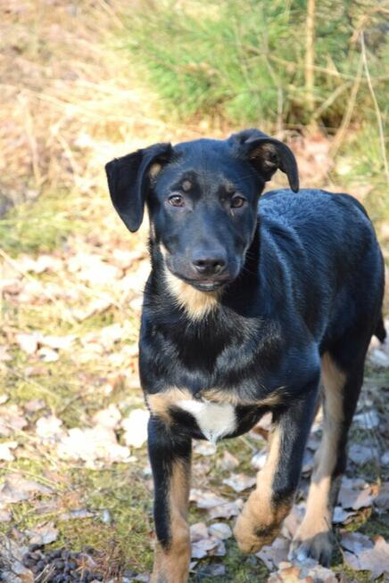 Cudna, kochana ok 4 mies sunia prosi o dom