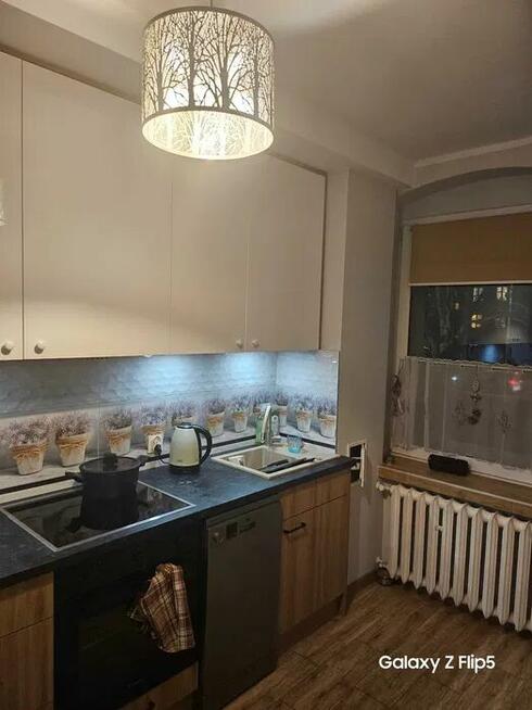 mieszkanie do wynajęcia