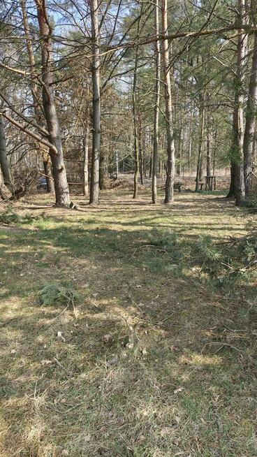 Malownicza działka w Pogórskiej Woli - 10 ar.