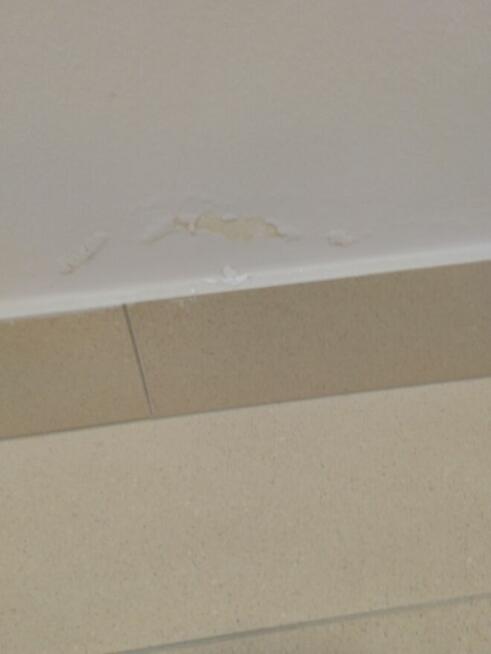 Remont po zalaniu mieszkania.Likwidacja zacieków i zagrzybie