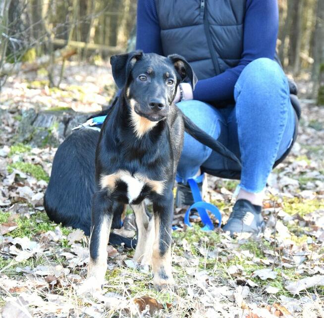 Cudna, kochana ok 4 mies sunia prosi o dom