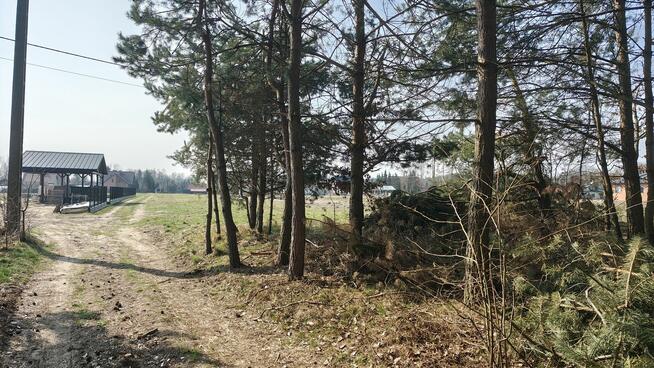 Malownicza działka w Pogórskiej Woli - 10 ar.