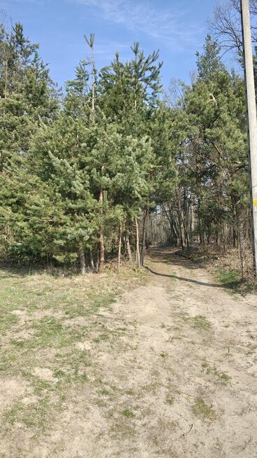 Malownicza działka w Pogórskiej Woli - 10 ar.