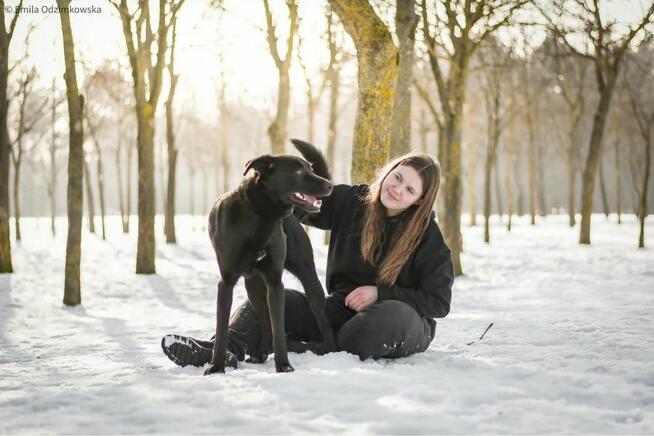 Kenzo- czarny młody pies do domu jako jedynak-adopcja