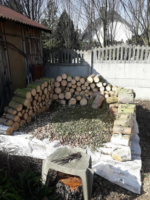 Koszenie Trawy, Wycinka , inne - Będzin/Czeladź/Okolice