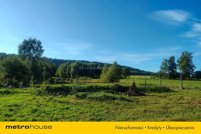 Duża działka z widokiem na Masyw Śnieżnika