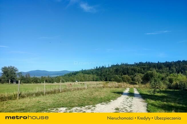 Duża działka z widokiem na Masyw Śnieżnika