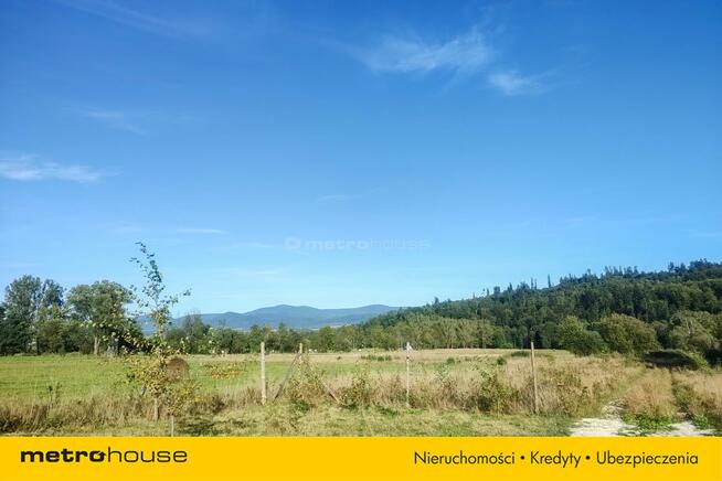 Duża działka z widokiem na Masyw Śnieżnika